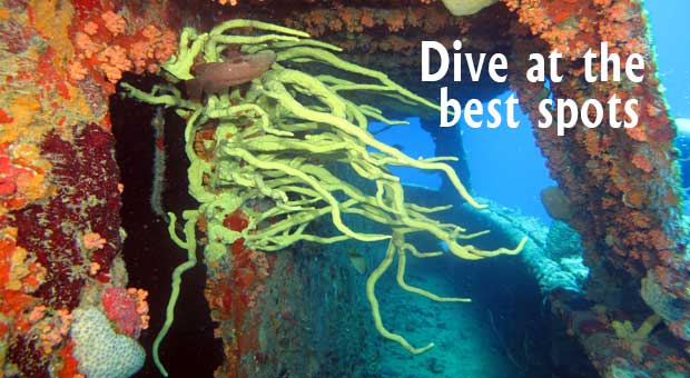 JADS Aruba: Dive at the best spots